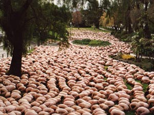 2700 עירומים  בצילום אחד